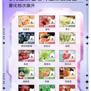 XIAOKE 可替換式電子煙 (通用 RELX6代) (選購款)